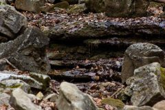 StonesRiver-50-768x512-1