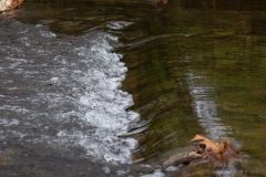 StonesRiver-64-2400x1300-1